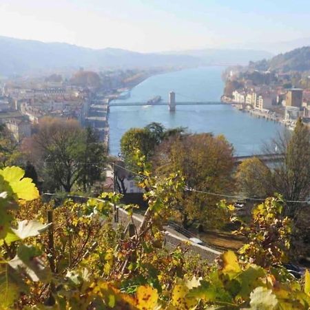 Appartement Vignes 2 Personnes Vienne Kültér fotó