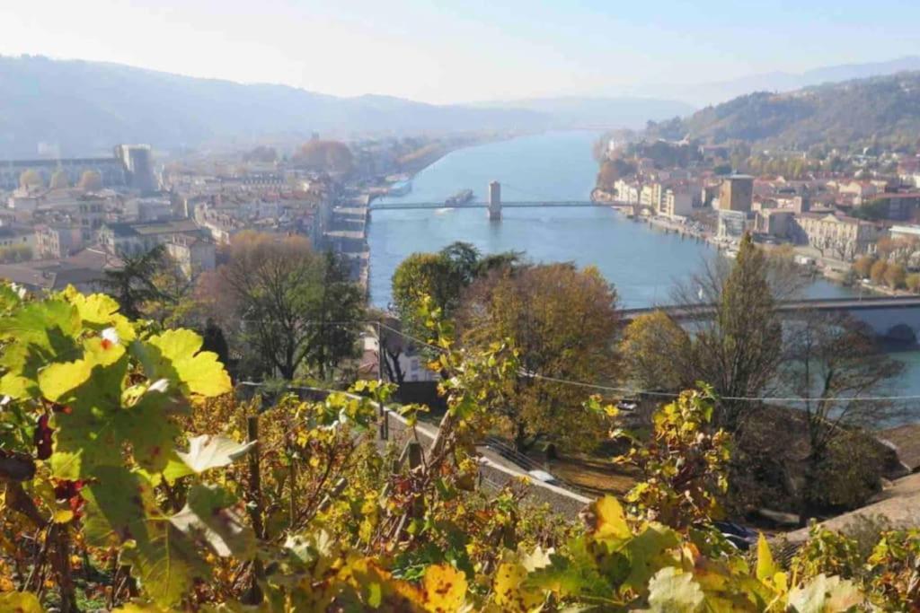 Appartement Vignes 2 Personnes Vienne Kültér fotó